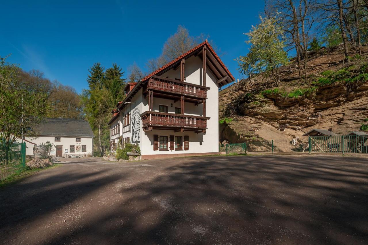 Zur Margarethenmuehle - Landgasthof Und Waldhotel Rosswein Екстер'єр фото