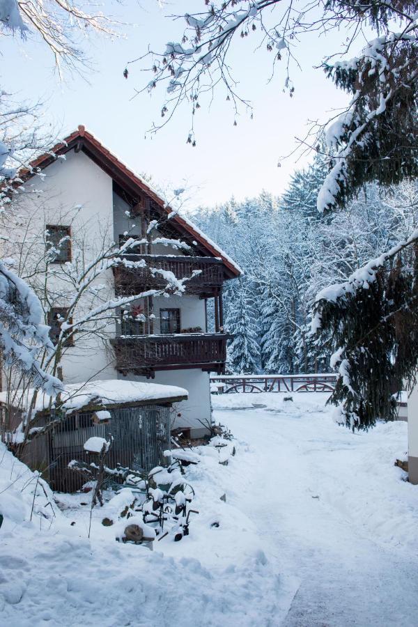 Zur Margarethenmuehle - Landgasthof Und Waldhotel Rosswein Екстер'єр фото