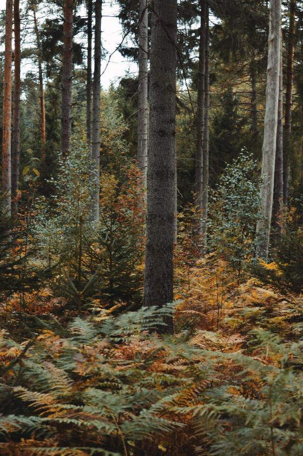Zur Margarethenmuehle - Landgasthof Und Waldhotel Rosswein Екстер'єр фото